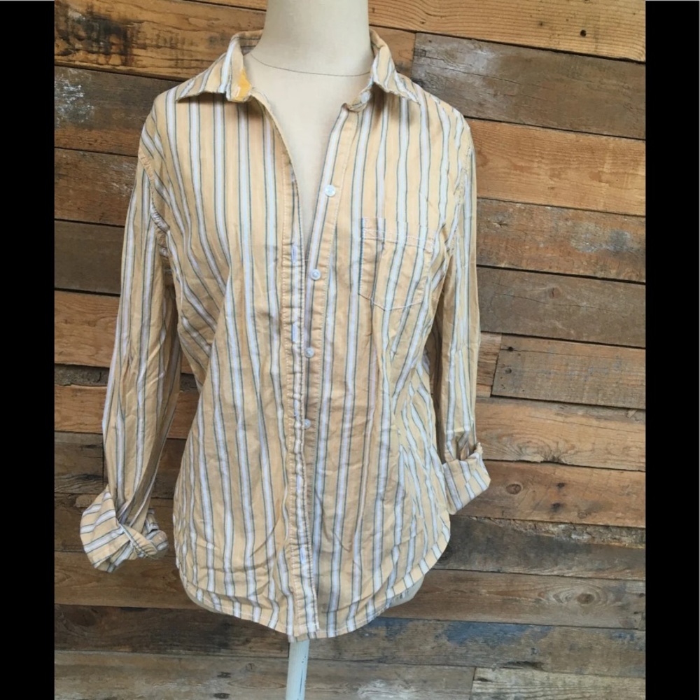 Button Down Shirt